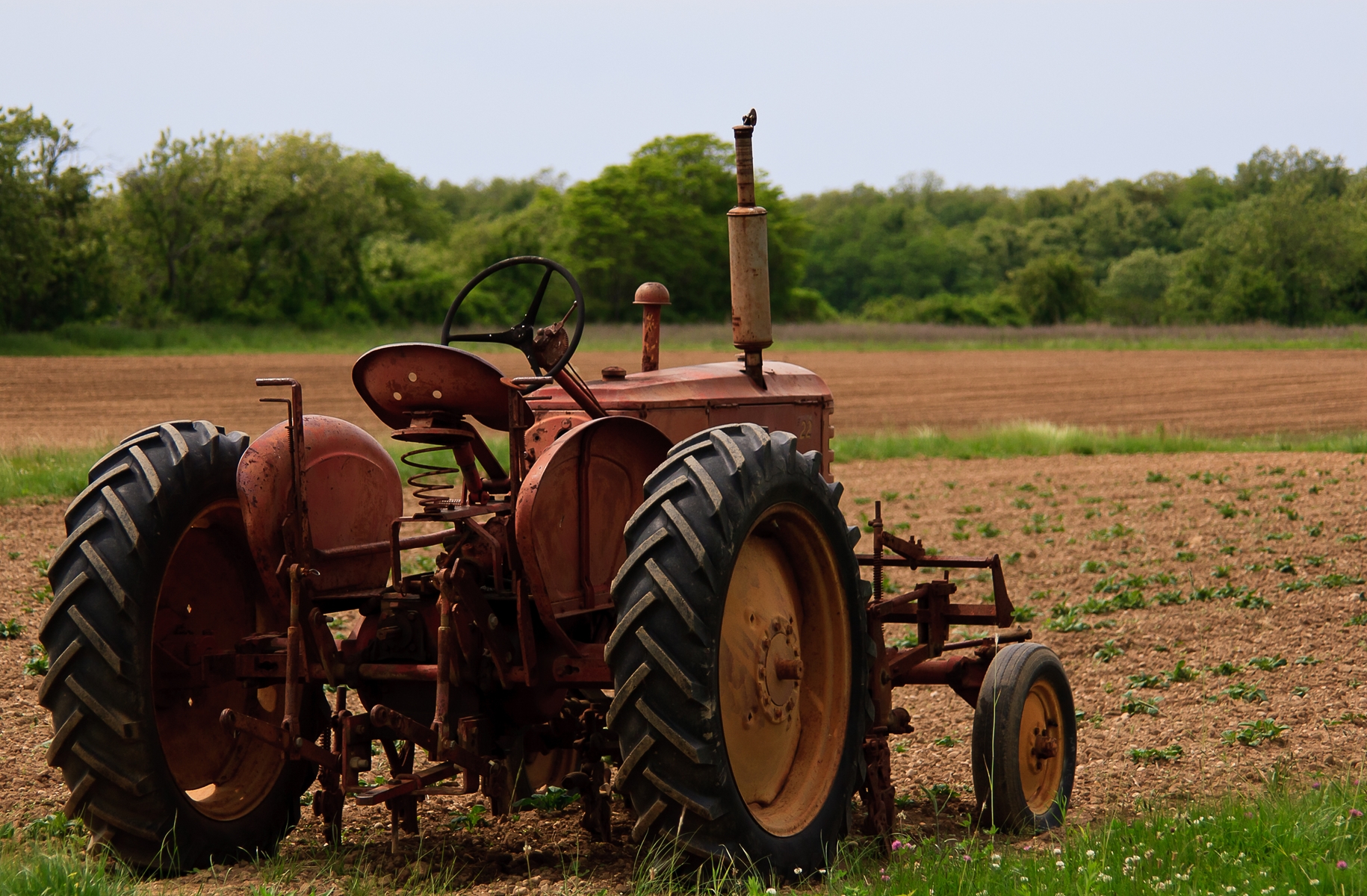 rustic tractor in field