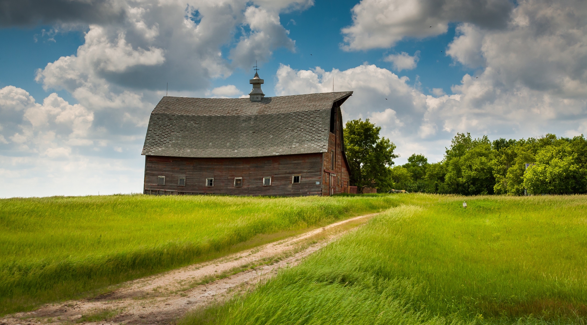 barn in field